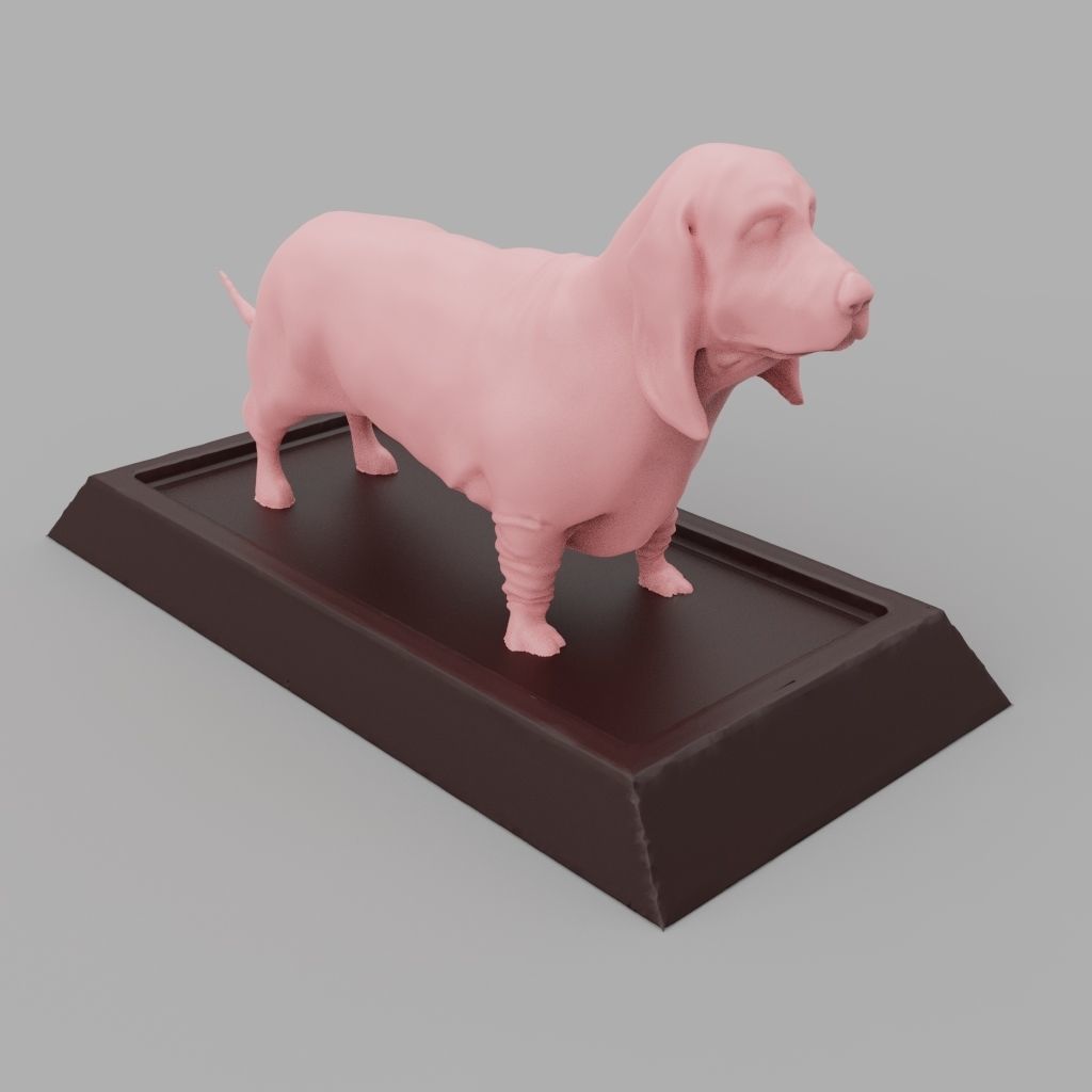 Basset Hound 3D print model_3