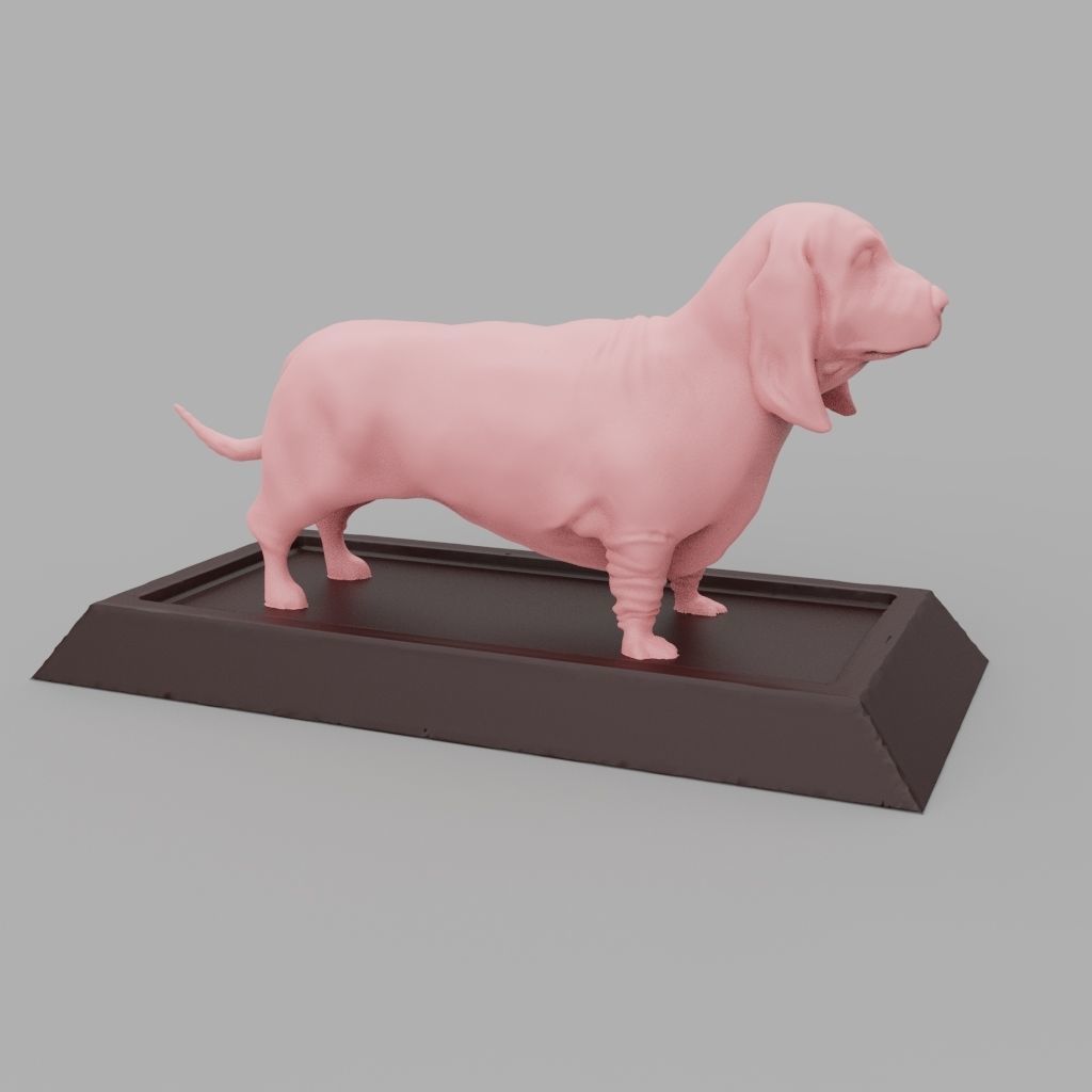 Basset Hound 3D print model_5