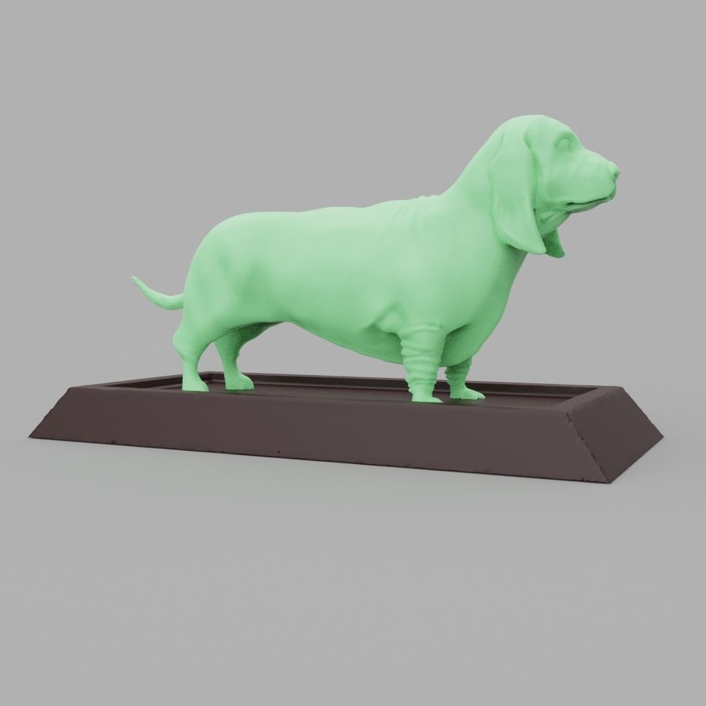 Basset Hound 3D print model_13