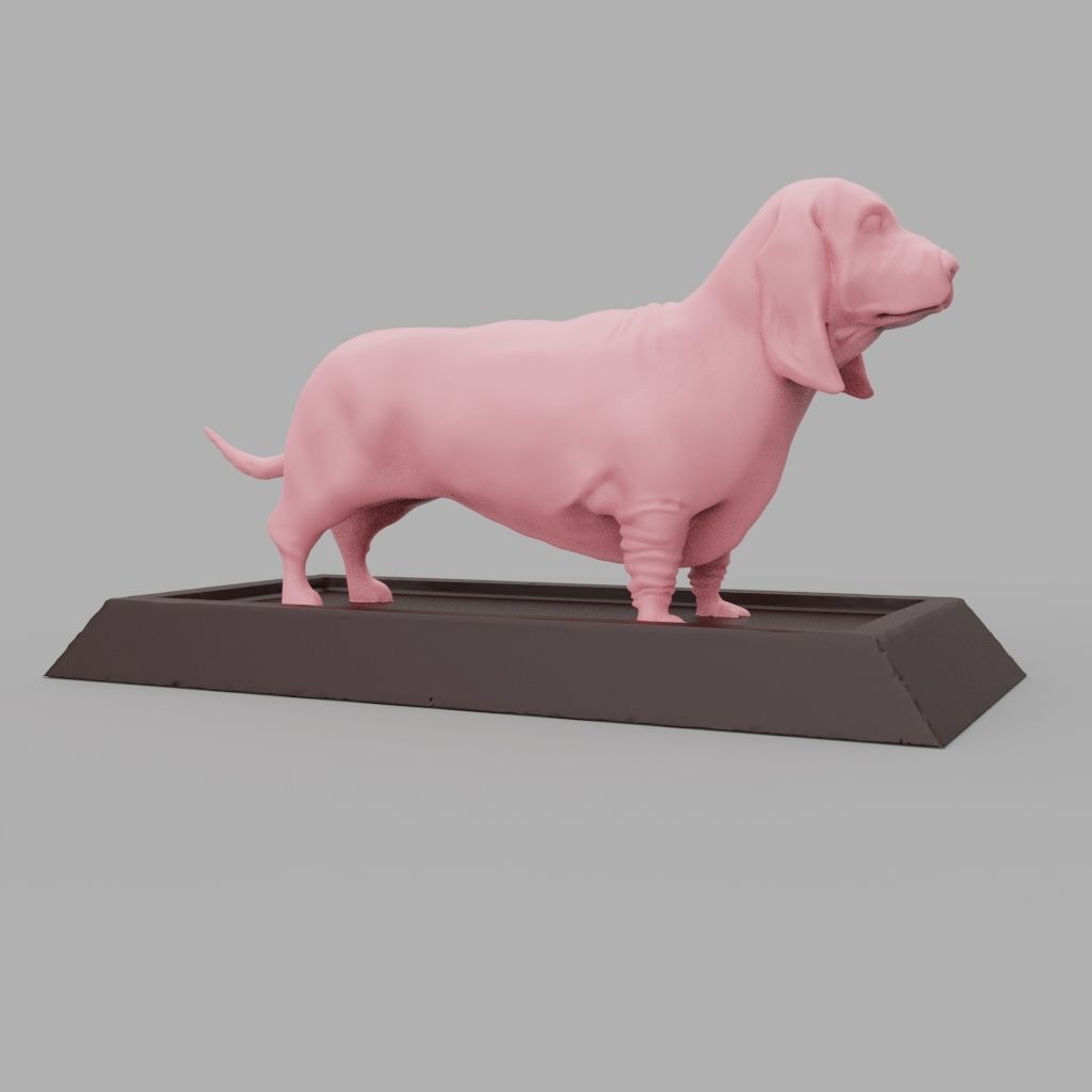 Basset Hound 3D print model_12