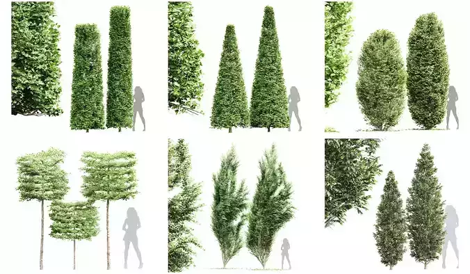 6 Different SETS of Tree SET VOL65 3D Model Collection