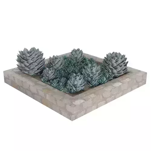 Customizable Succulent Garden Square Planter 3D Model Low-poly 3D model
