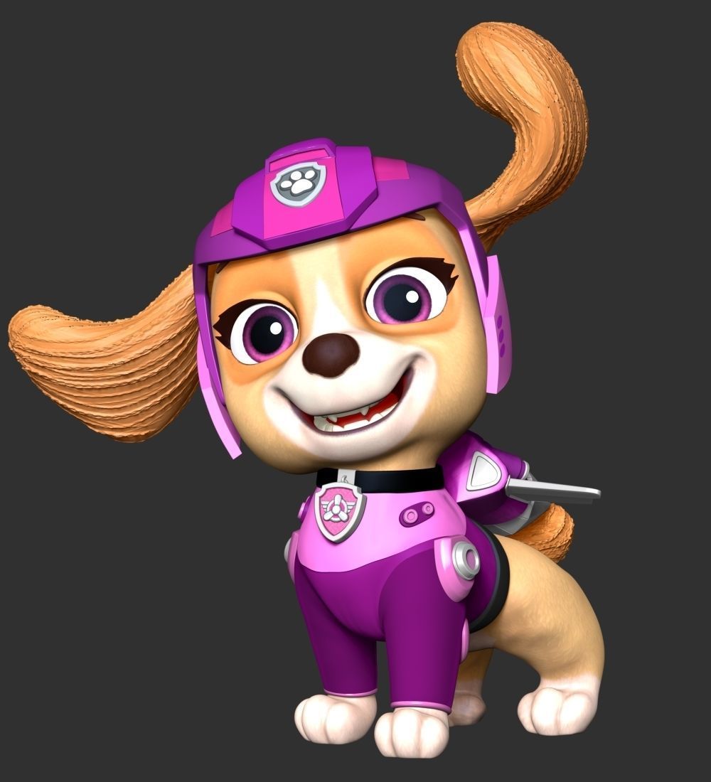 Skye Pilot - The Movie 3D print model_2