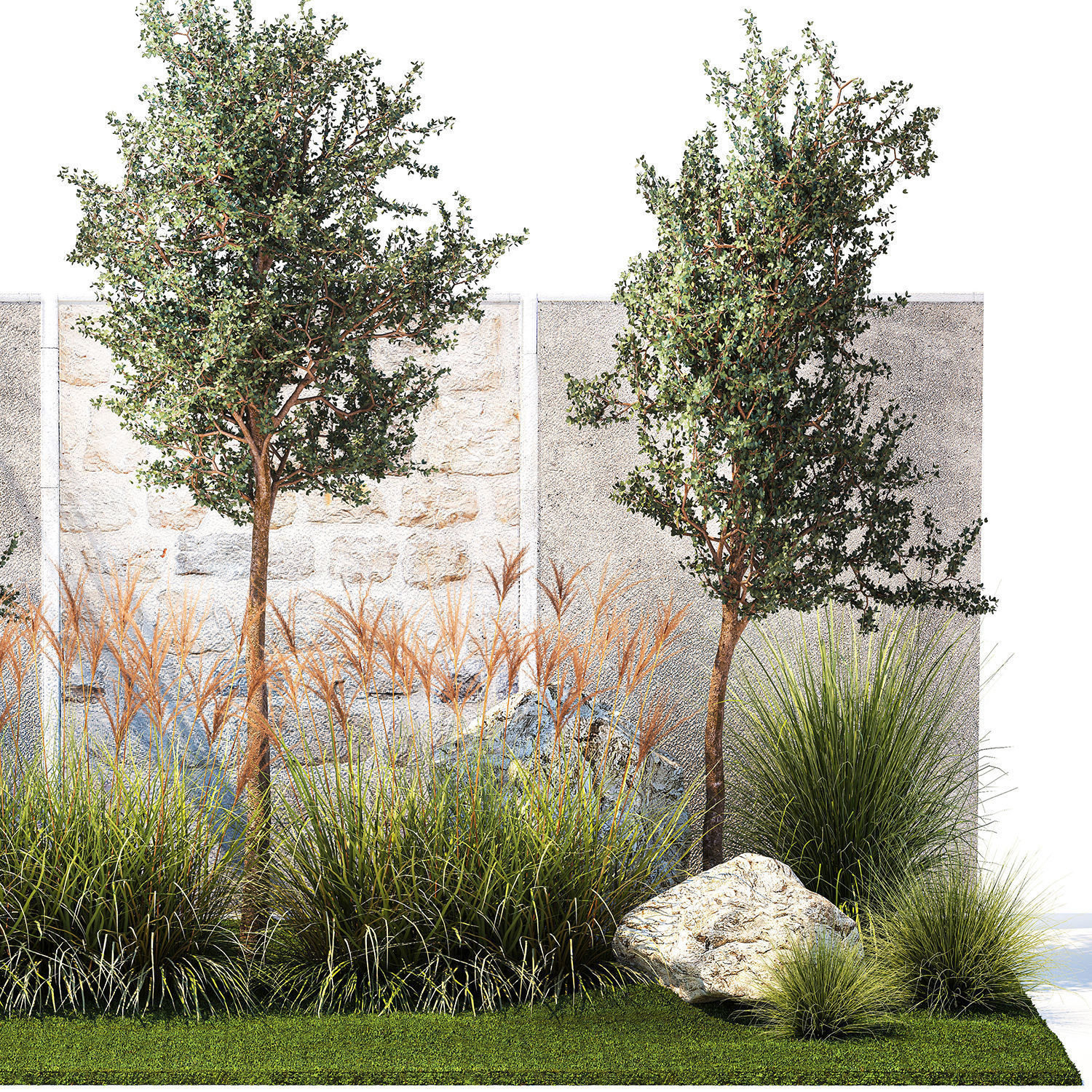 Garden with trees and grass bushes Miscanthus reed grass 1391 3D model_9