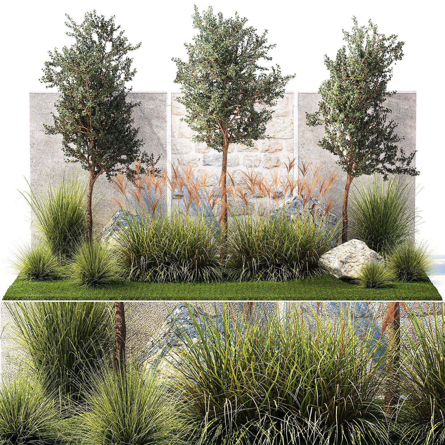Garden with trees and grass bushes Miscanthus reed grass 1391 3D model_5