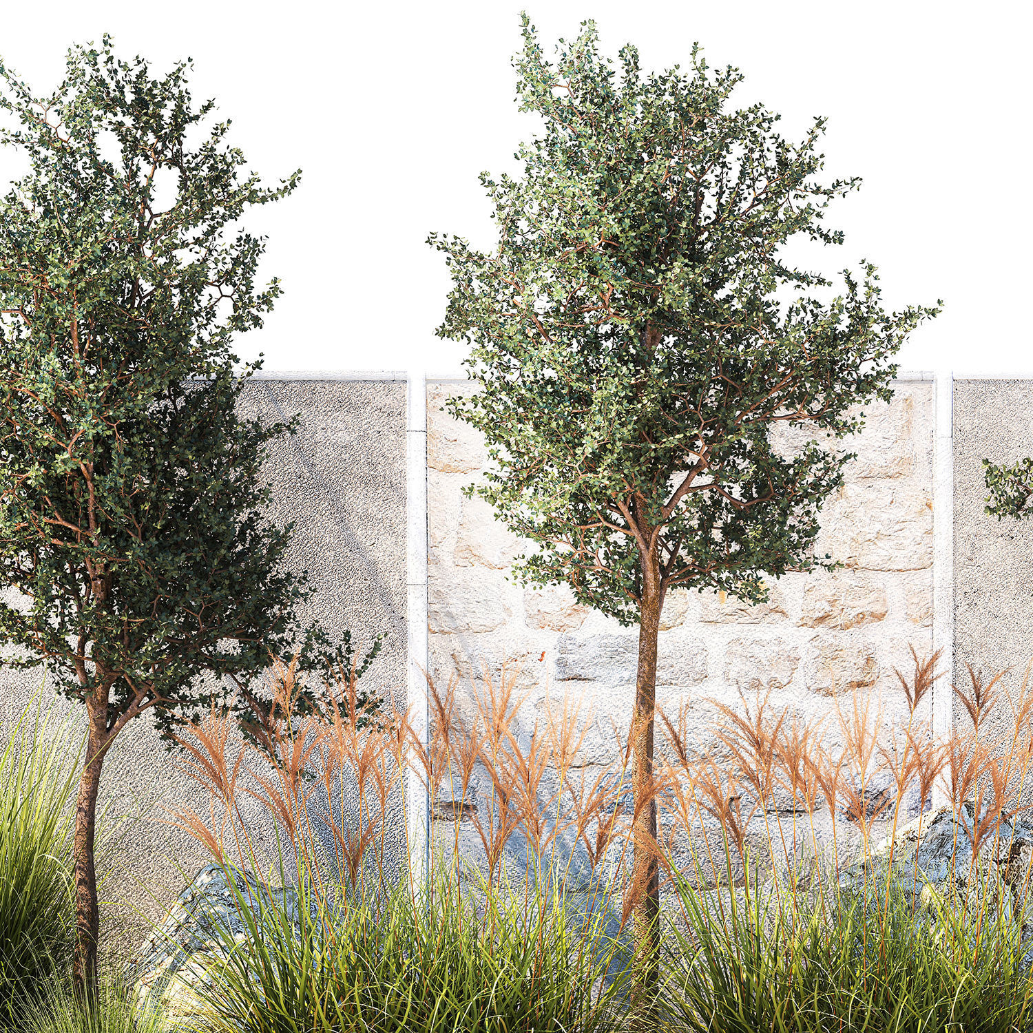 Garden with trees and grass bushes Miscanthus reed grass 1391 3D model_10