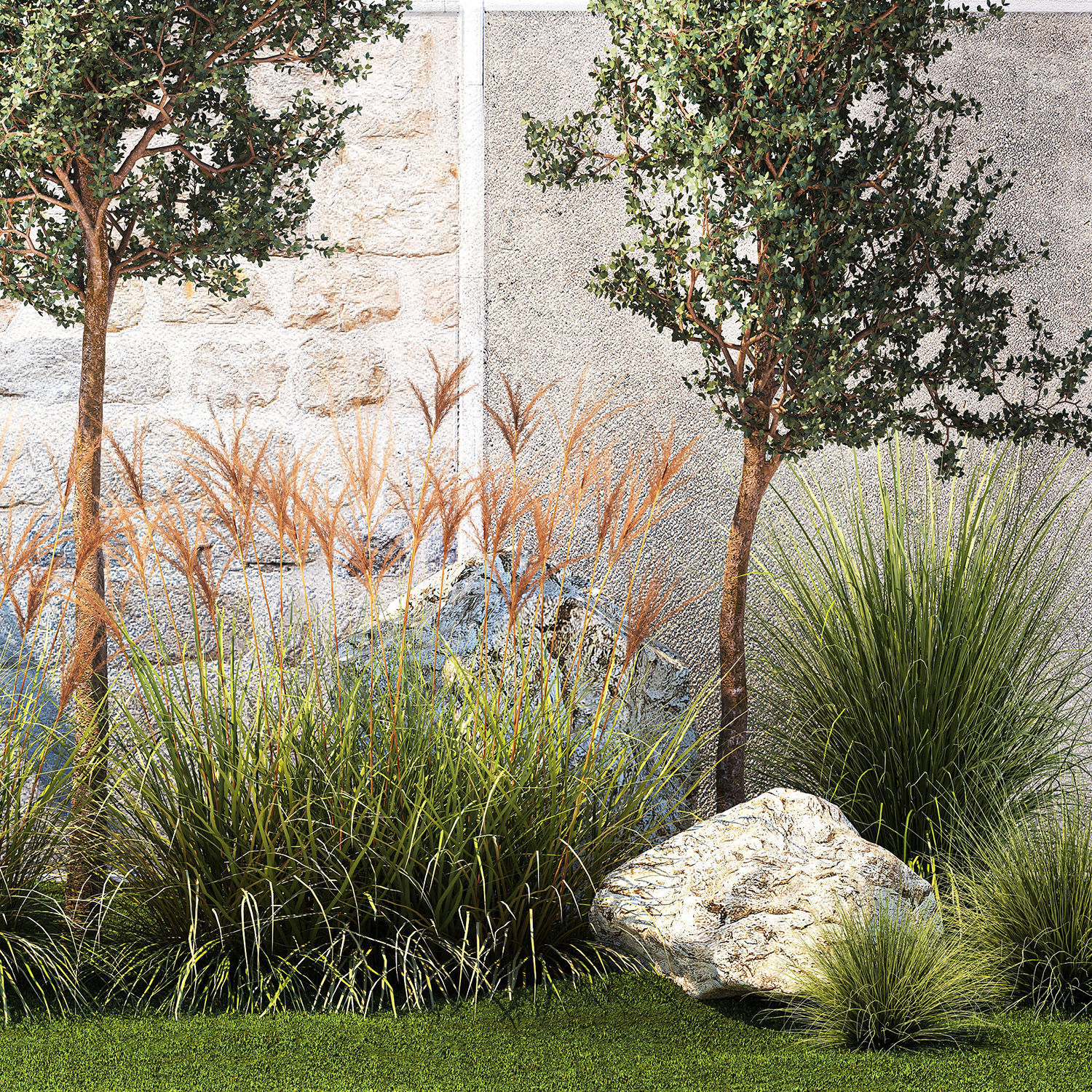 Garden with trees and grass bushes Miscanthus reed grass 1391 3D model_11
