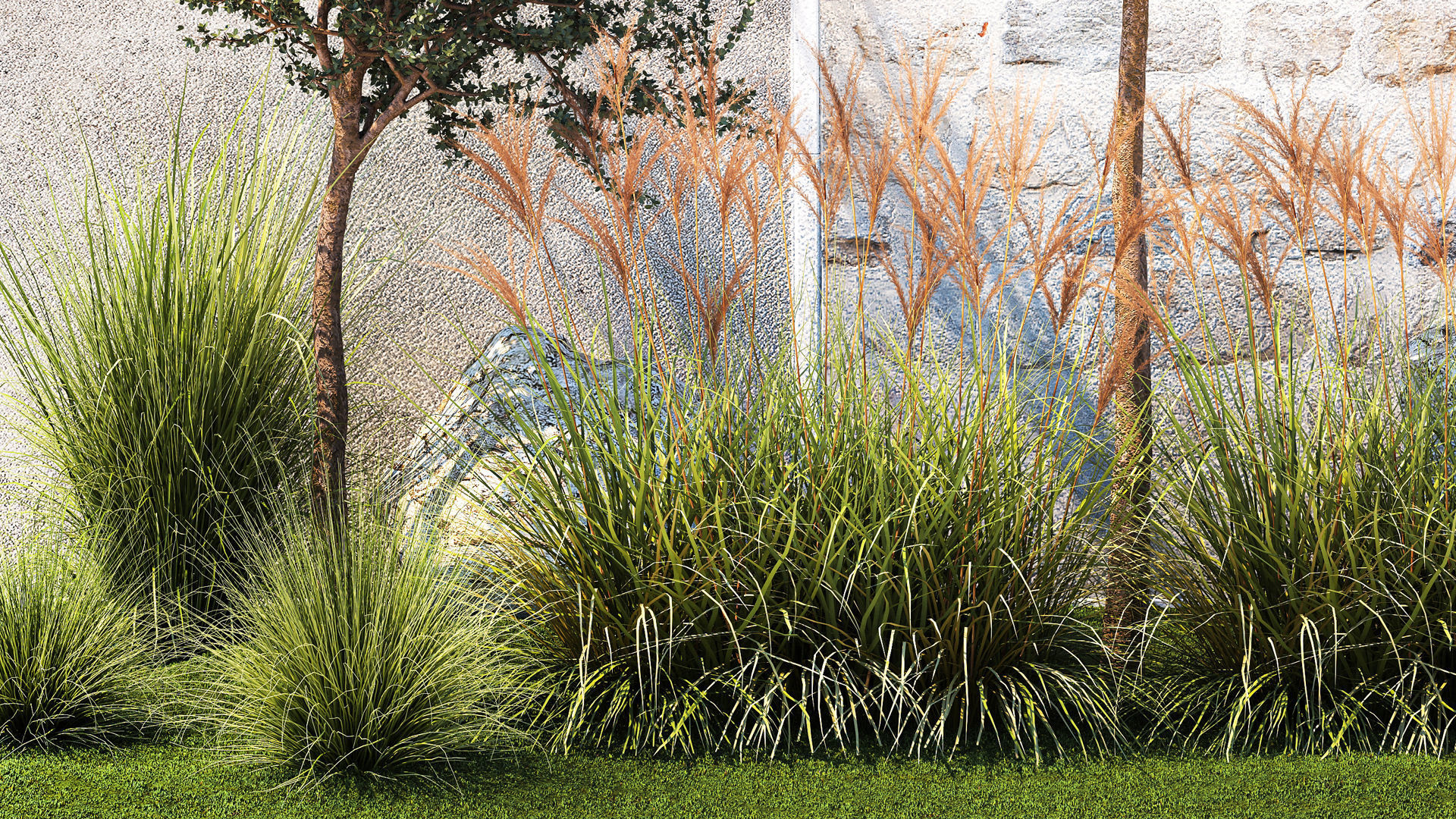 Garden with trees and grass bushes Miscanthus reed grass 1391 3D model_3