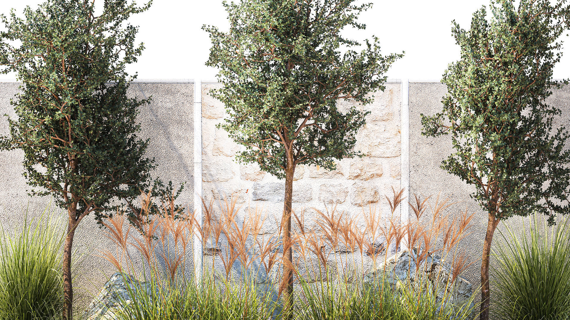 Garden with trees and grass bushes Miscanthus reed grass 1391 3D model_1