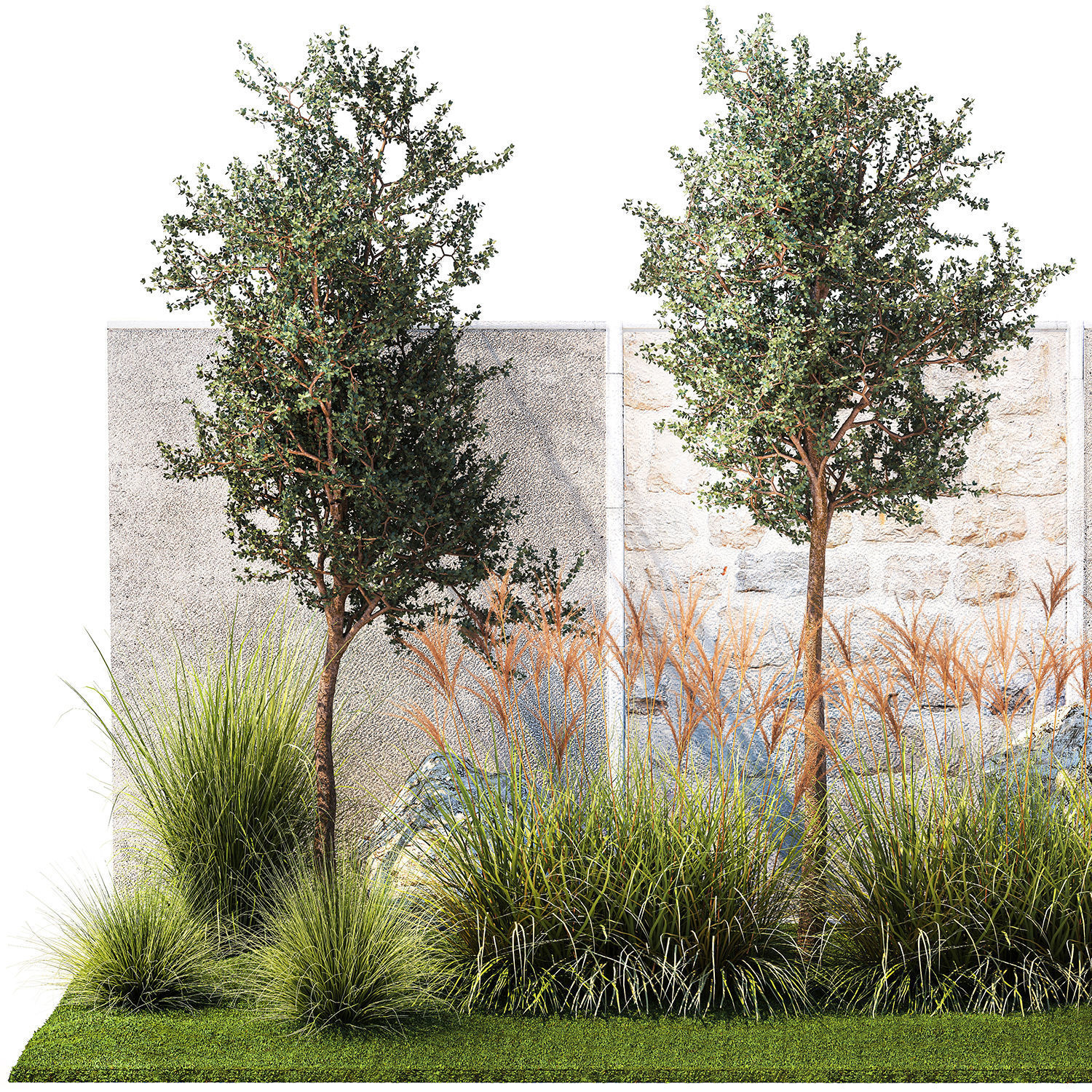 Garden with trees and grass bushes Miscanthus reed grass 1391 3D model_7