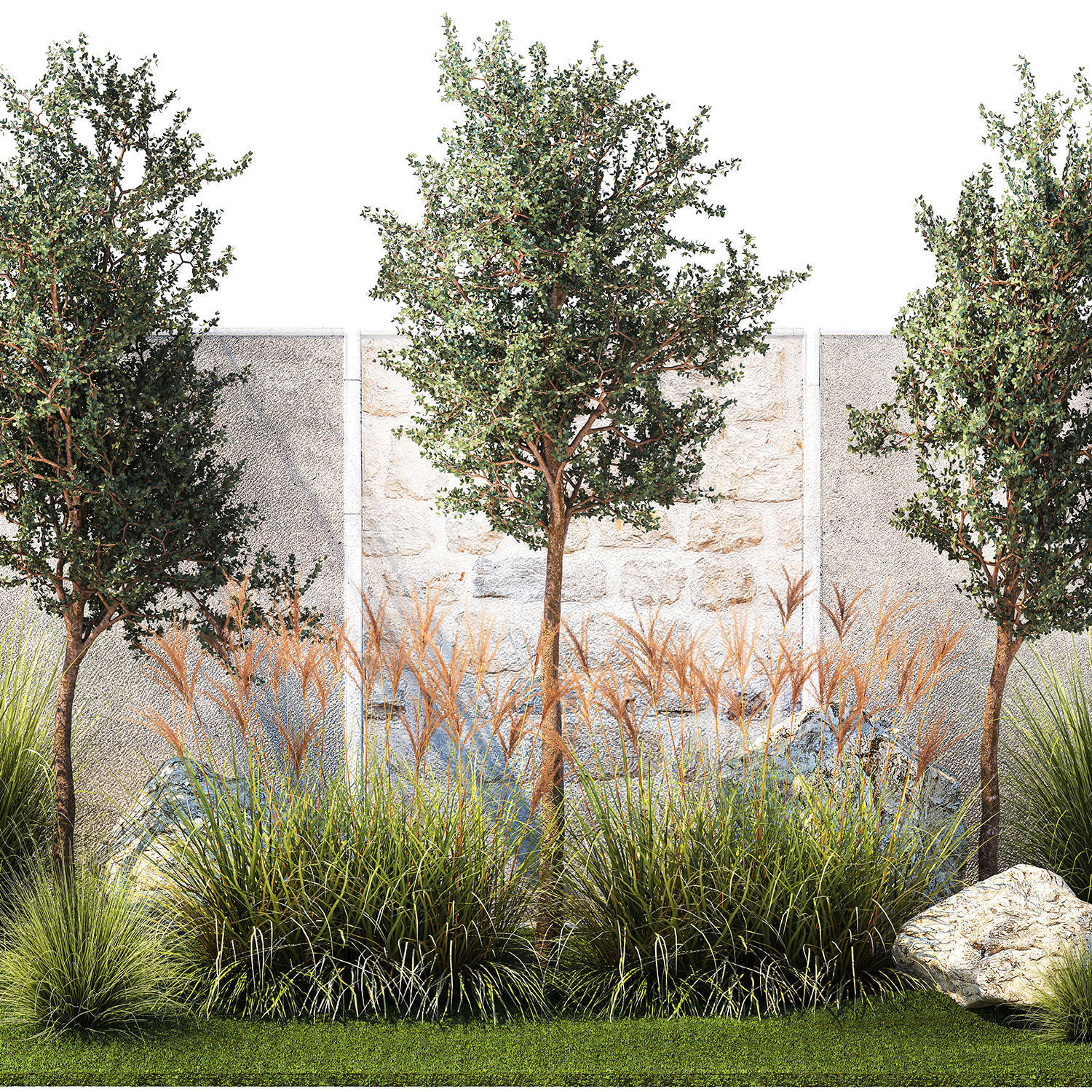 Garden with trees and grass bushes Miscanthus reed grass 1391 3D model_8
