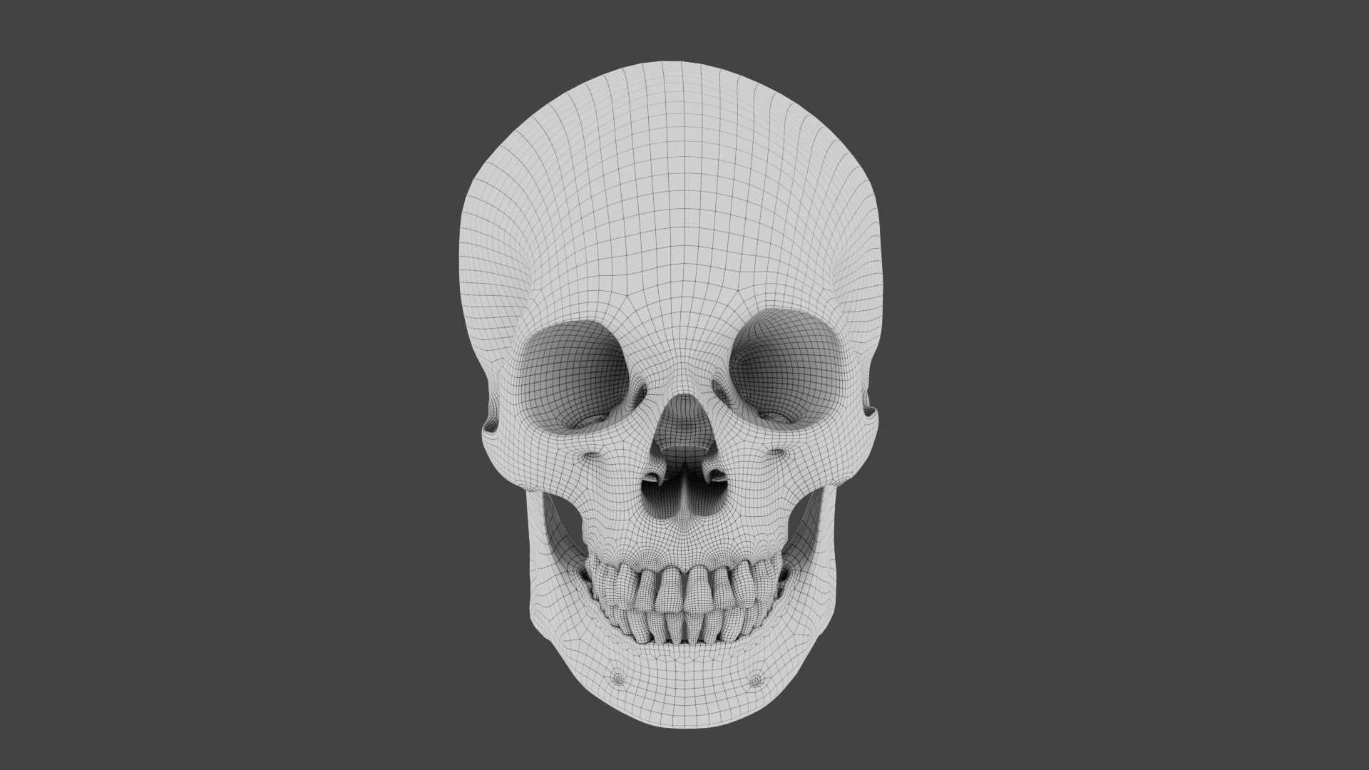 Realistic human skull 01 Low-poly 3D model_6