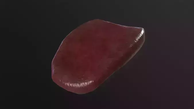 Severed Tongue 3D Model
