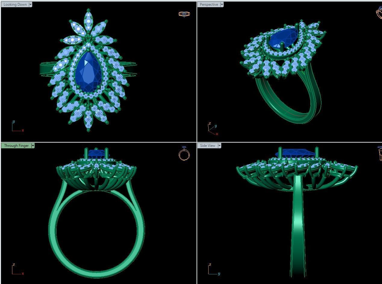 Big Ring Palm Model 3D print model_1