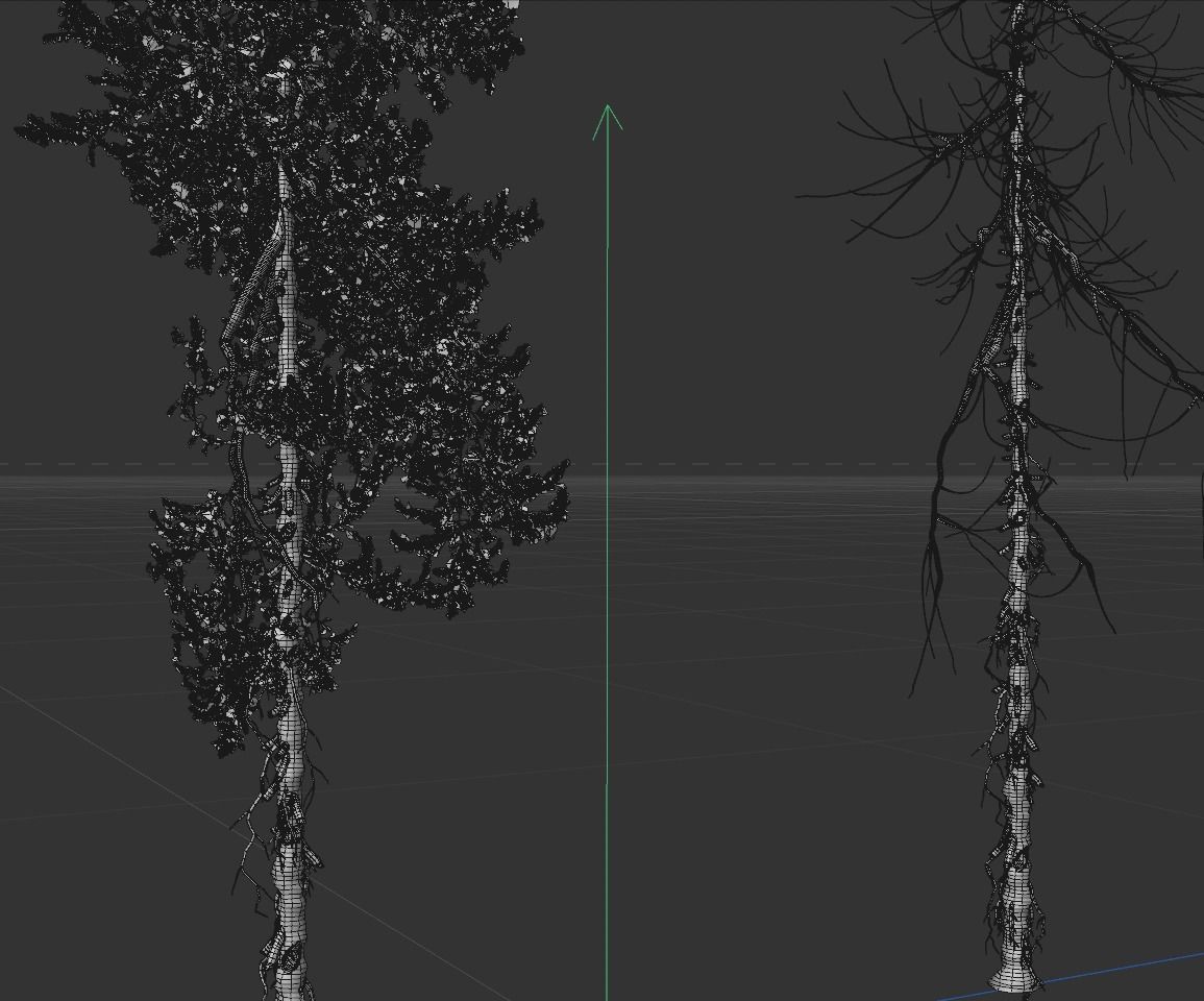 High Quality Fir Tree 14 3D model_5