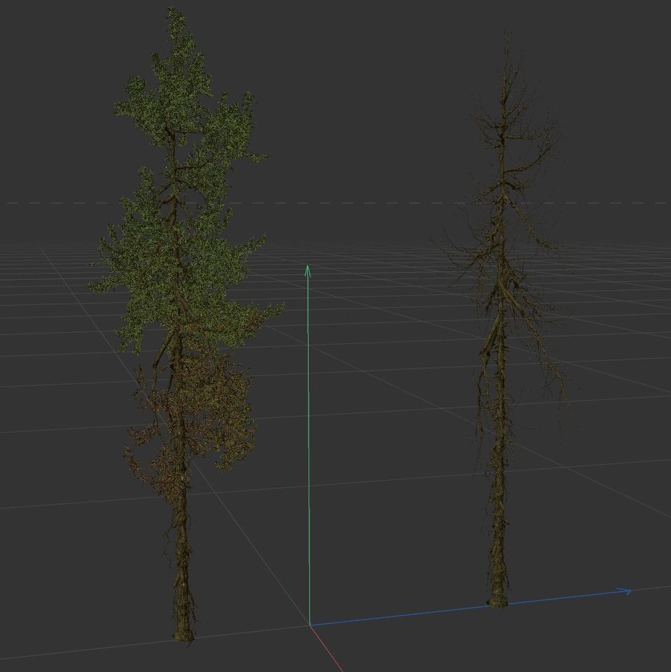 High Quality Fir Tree 14 3D model_3