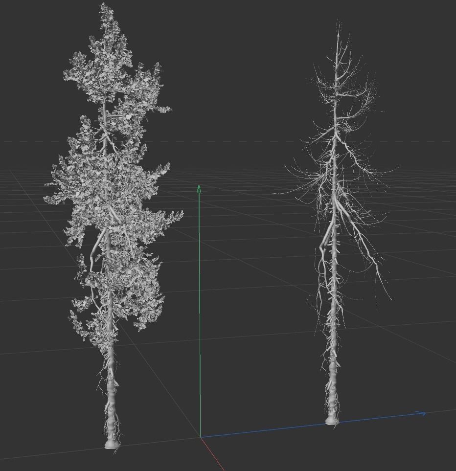 High Quality Fir Tree 14 3D model_4