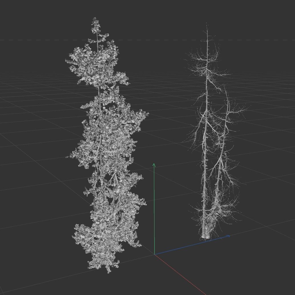 High Quality Fir Tree 15 3D model_4
