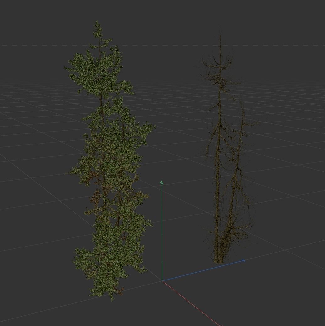 High Quality Fir Tree 15 3D model_3