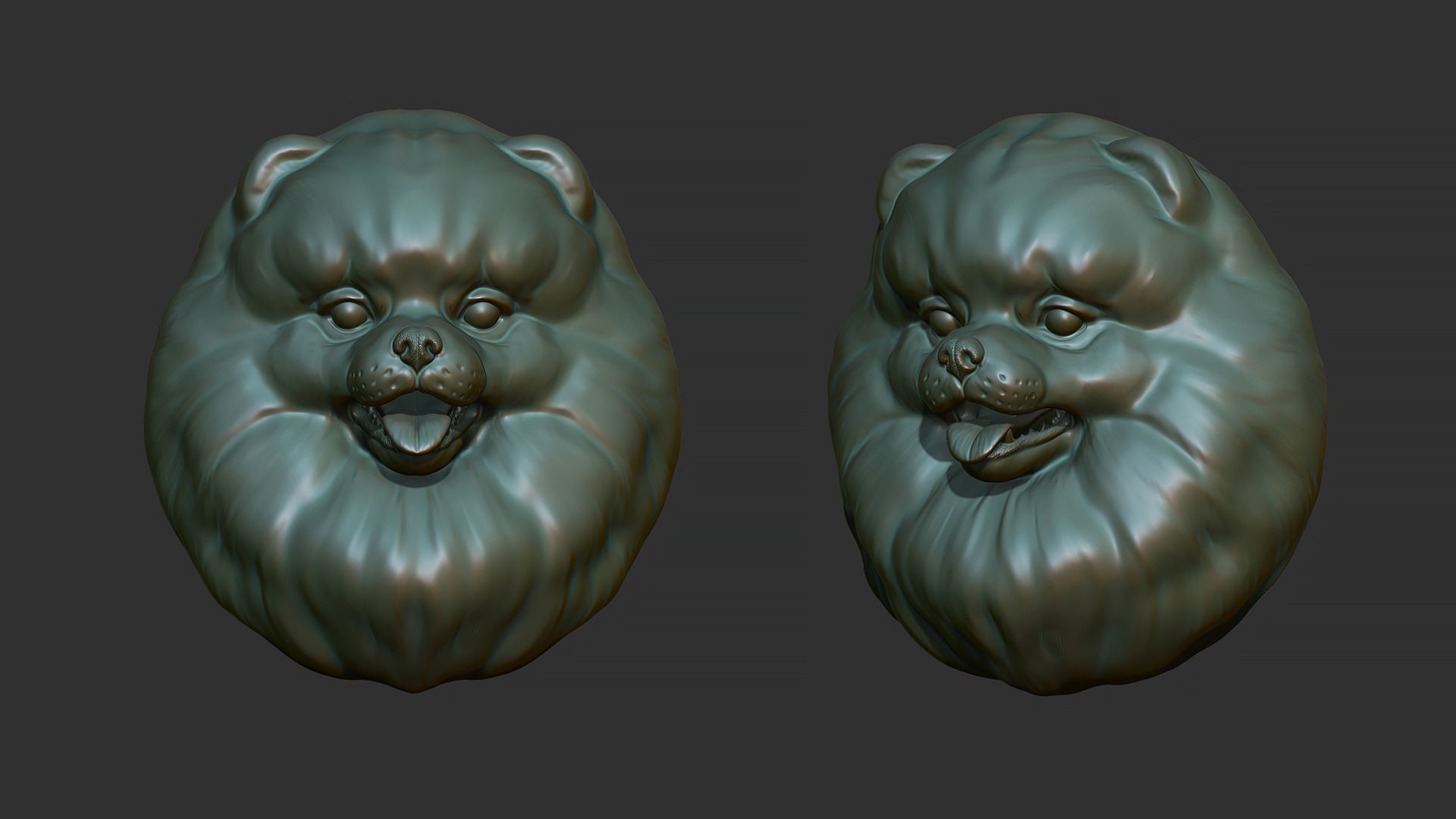 Pomeranian bust 3D print model_28