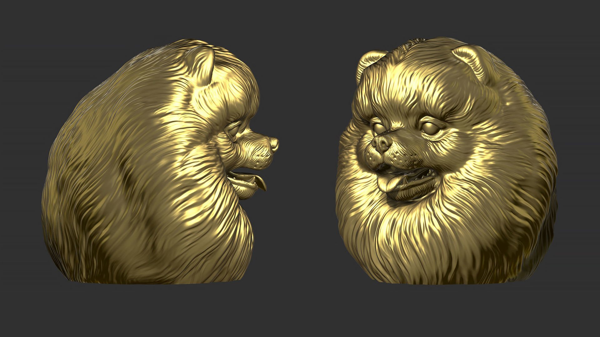 Pomeranian bust 3D print model_3