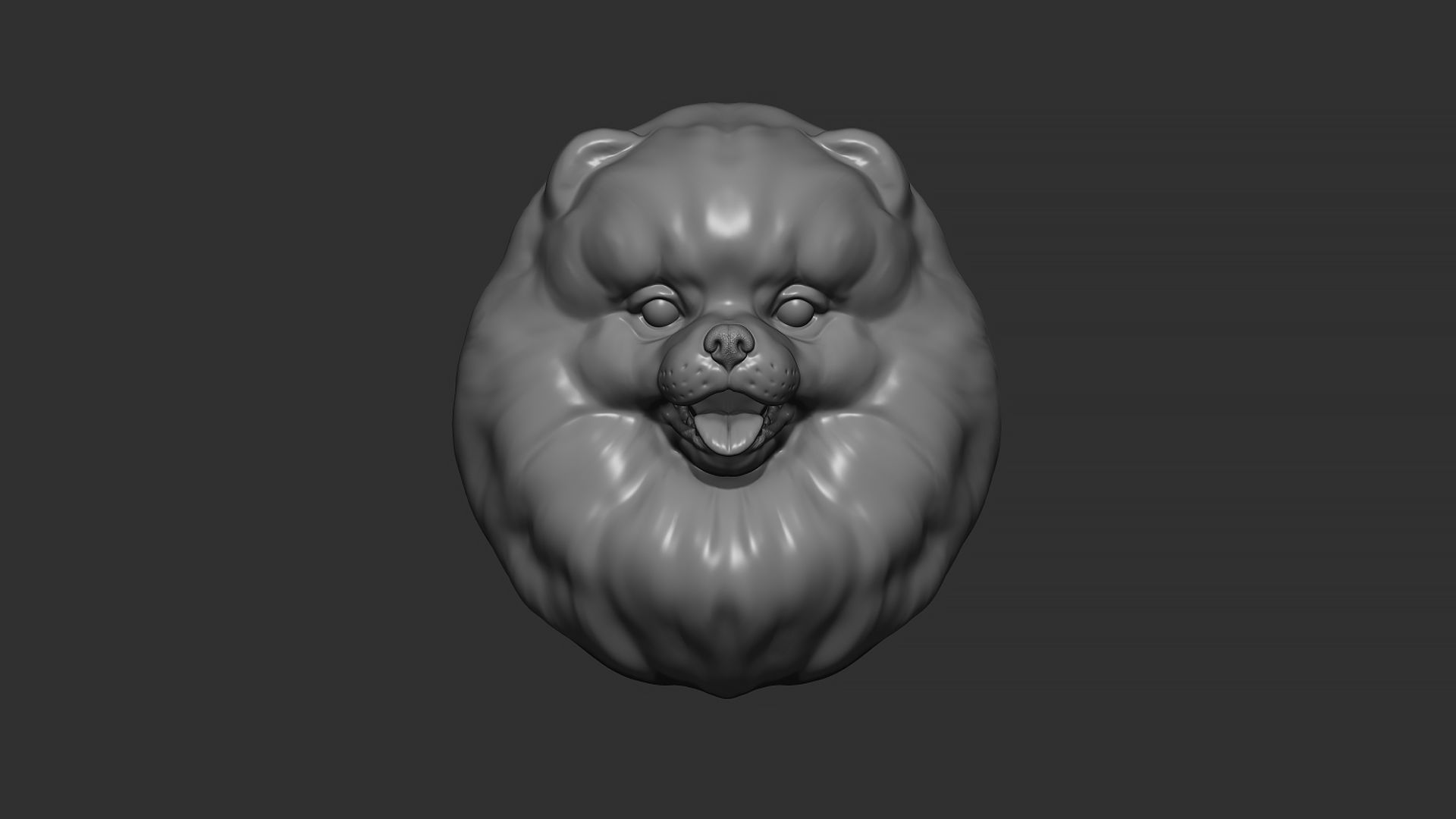 Pomeranian bust 3D print model_22