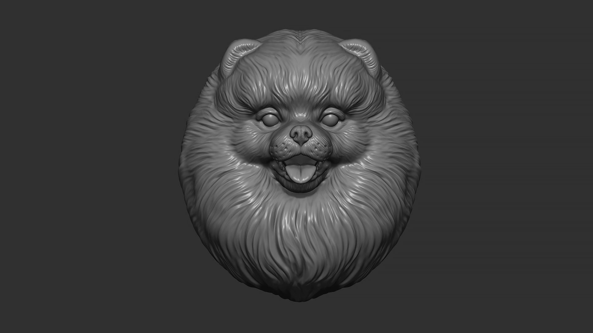 Pomeranian bust 3D print model_11