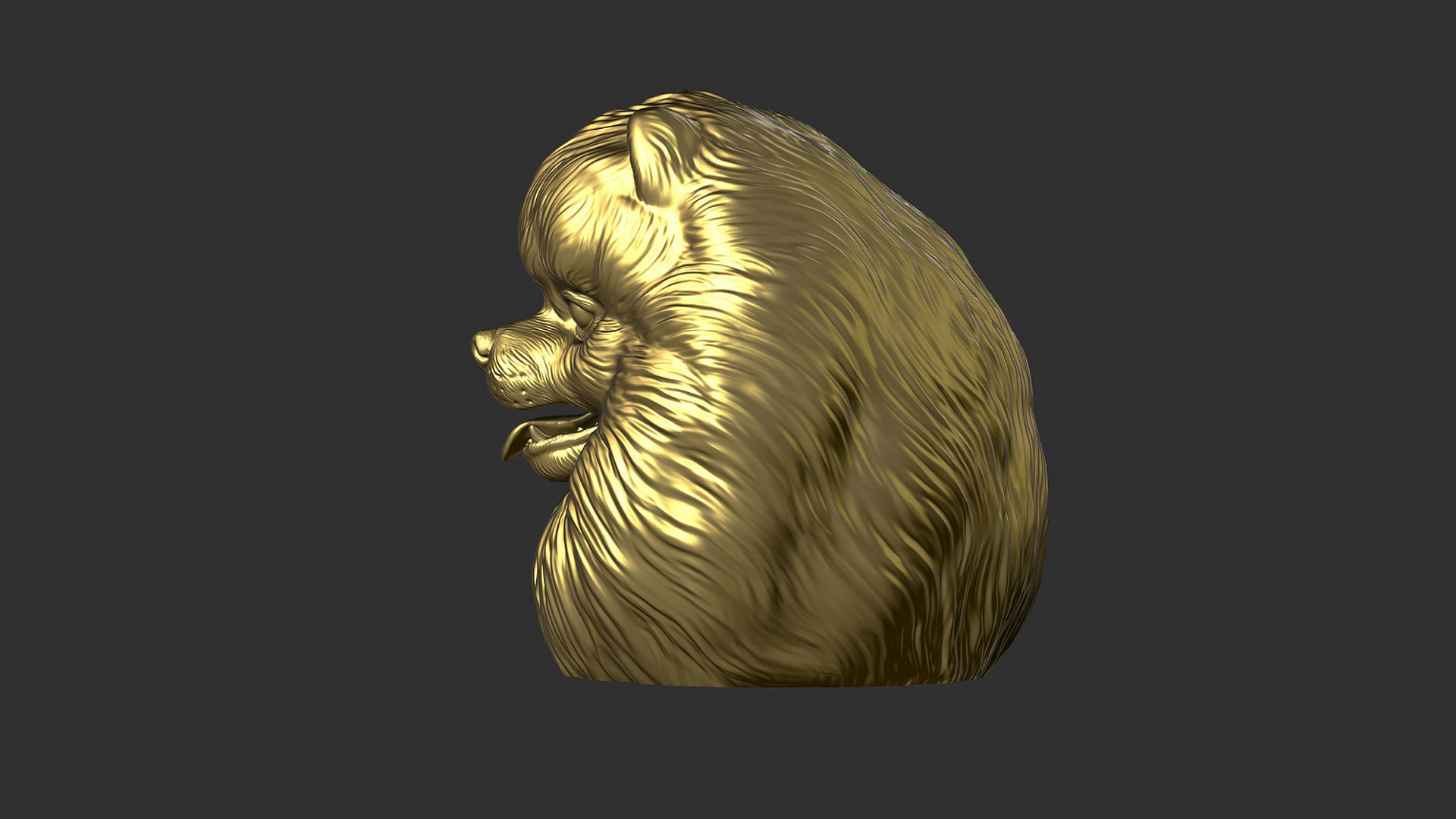Pomeranian bust 3D print model_18