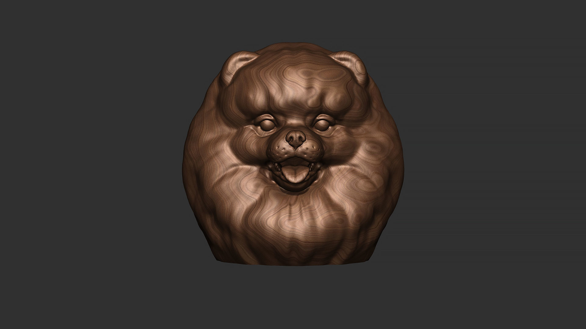 Pomeranian bust 3D print model_30