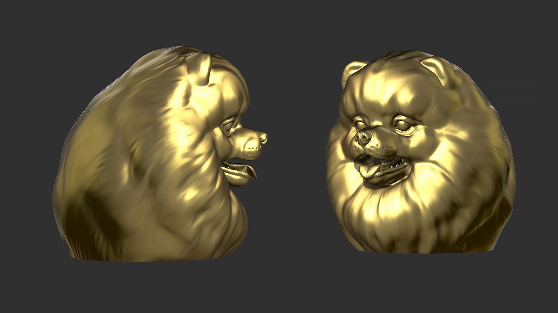Pomeranian bust 3D print model_29