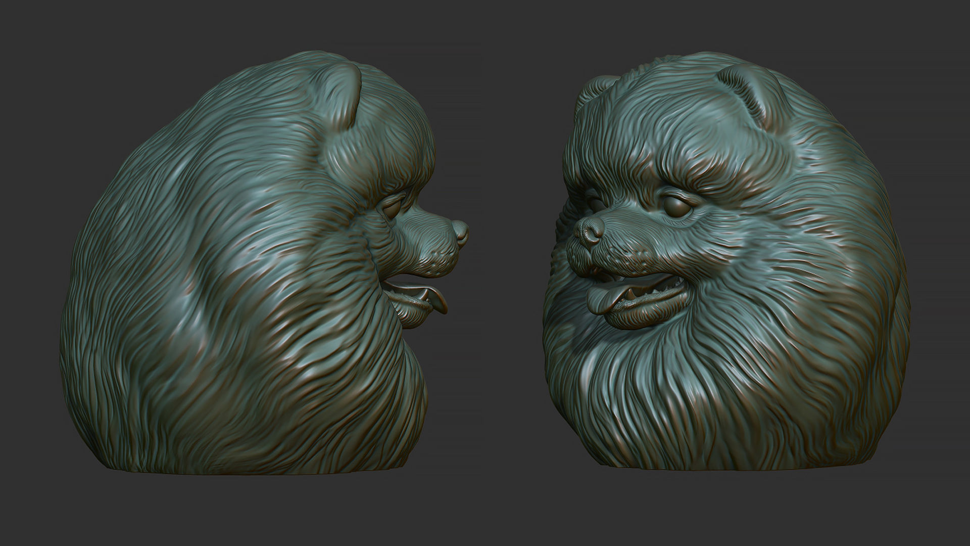 Pomeranian bust 3D print model_5