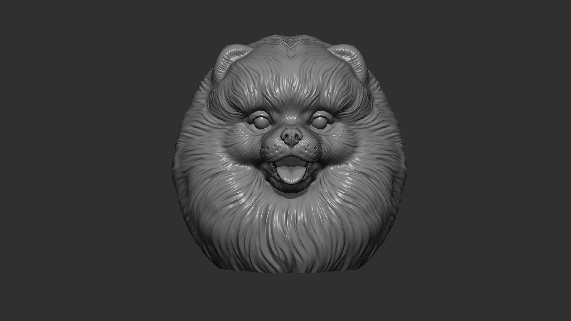 Pomeranian bust 3D print model_10