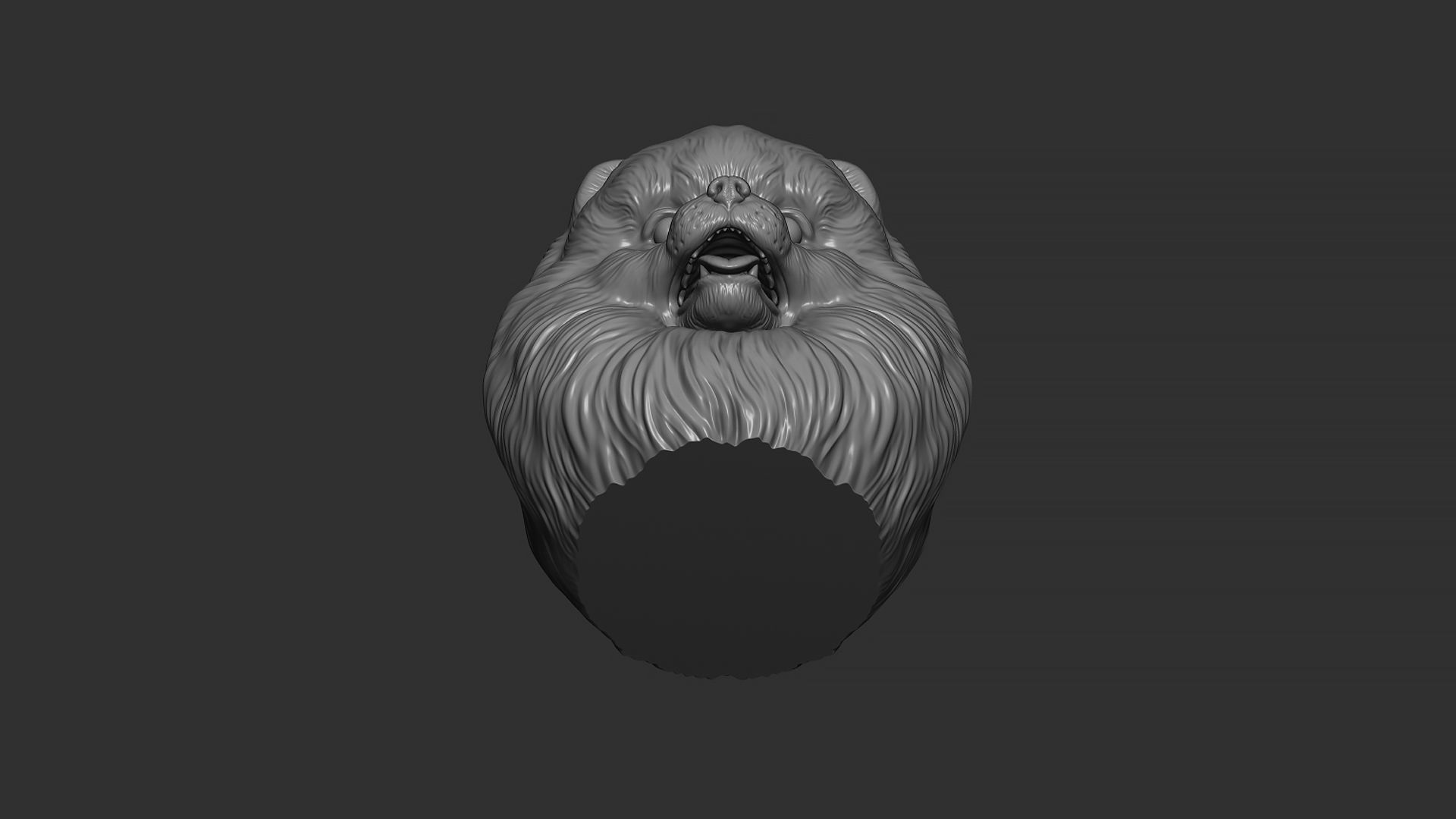 Pomeranian bust 3D print model_9