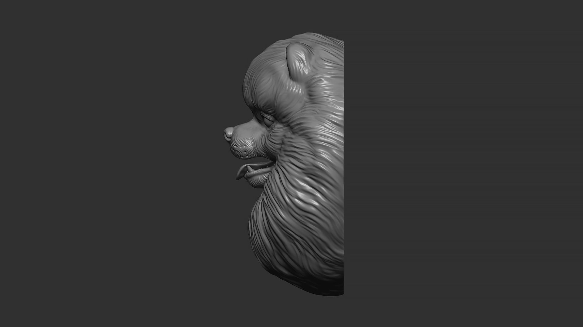 Pomeranian bust 3D print model_14