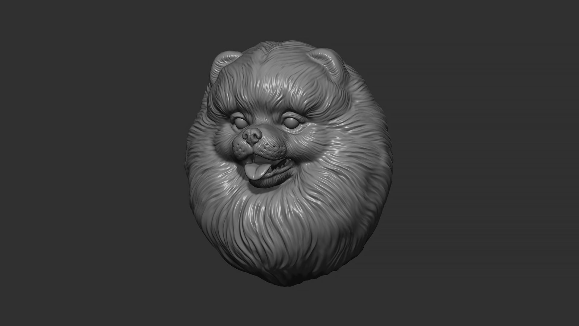 Pomeranian bust 3D print model_31