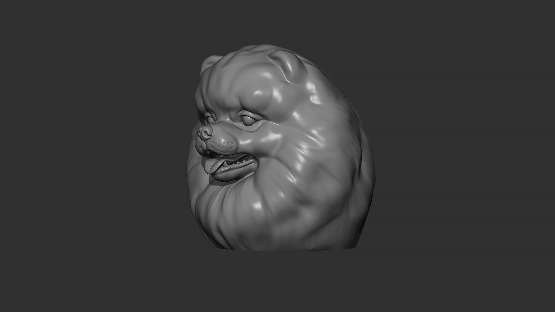 Pomeranian bust 3D print model_26