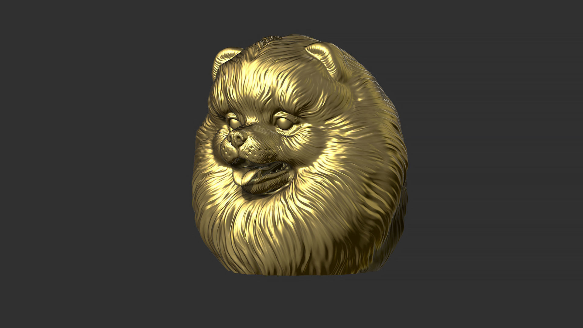 Pomeranian bust 3D print model_17