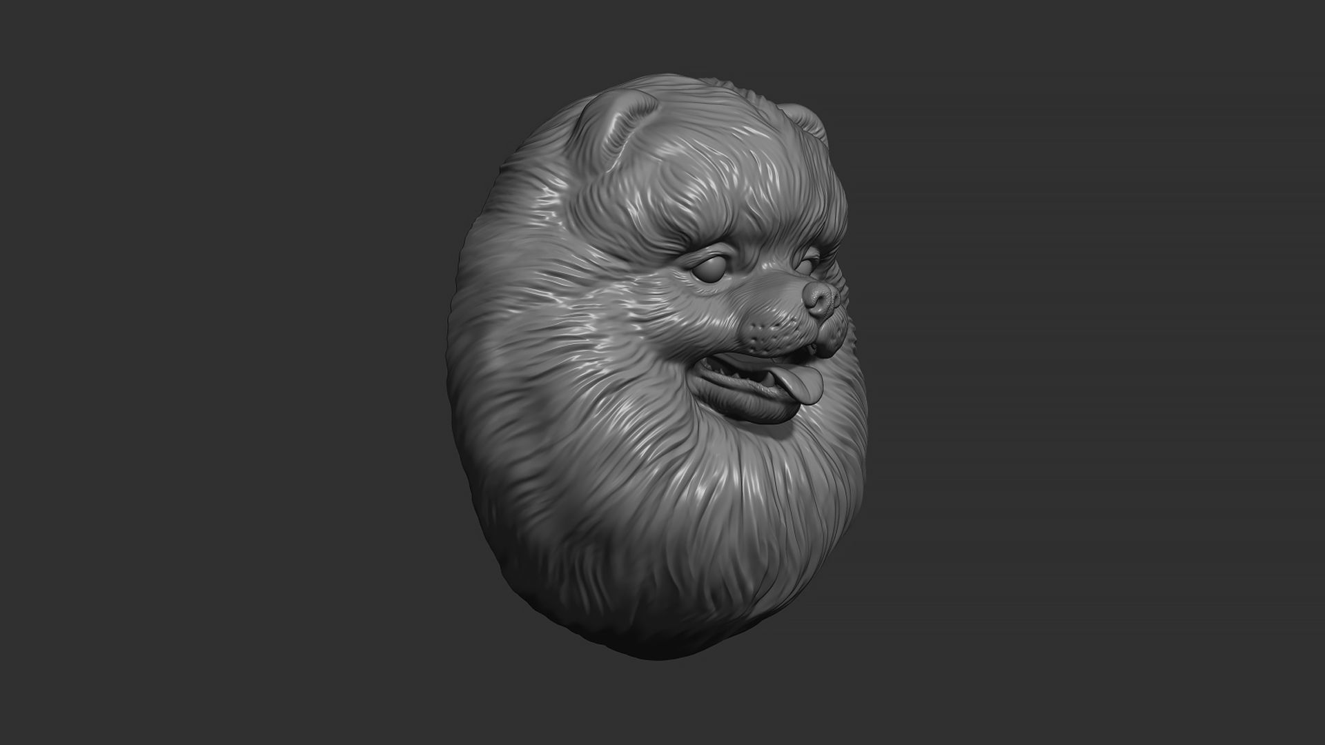 Pomeranian bust 3D print model_27