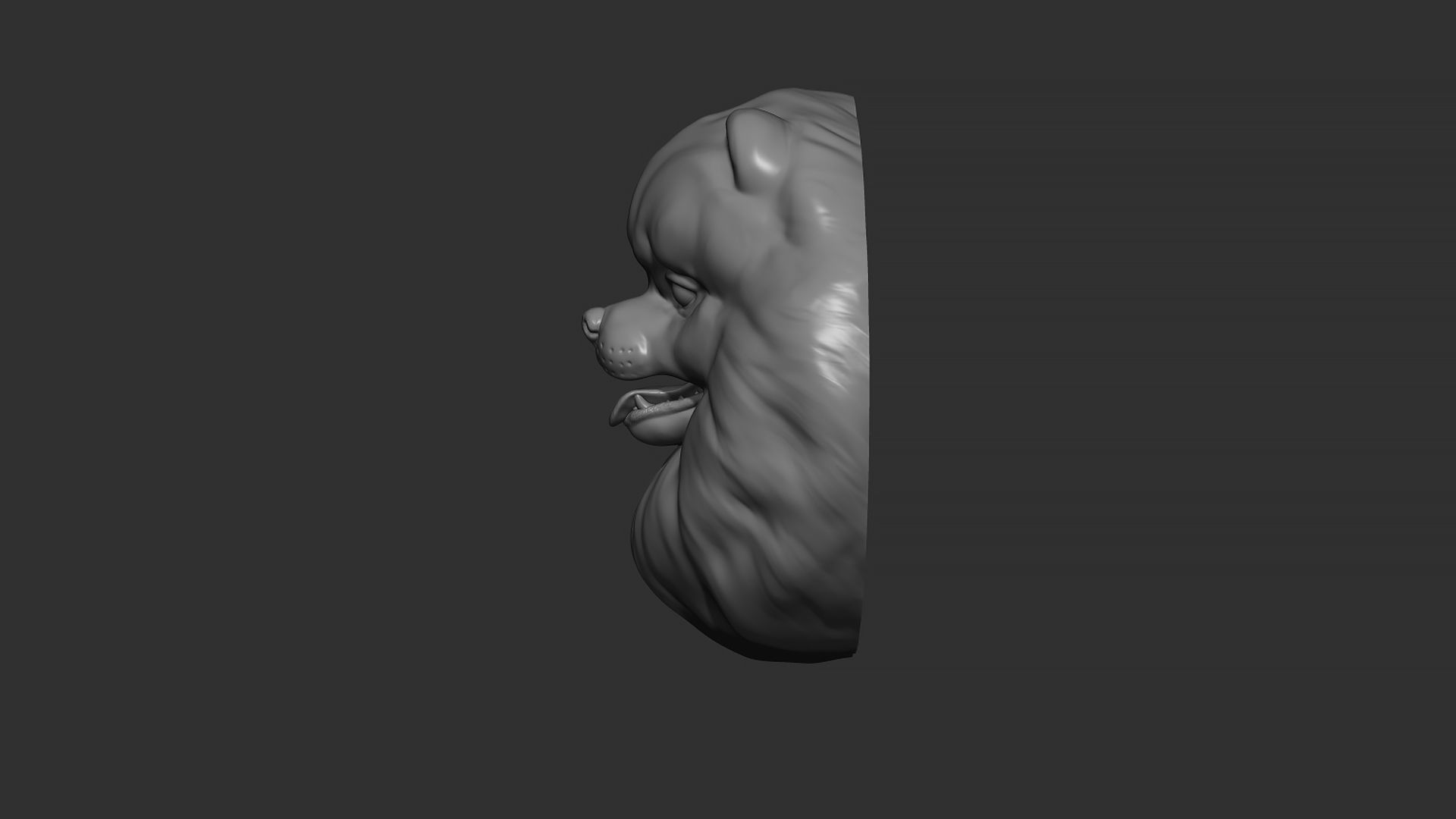 Pomeranian bust 3D print model_24