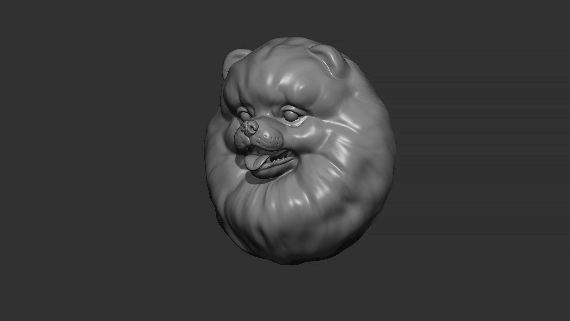 Pomeranian bust 3D print model_23