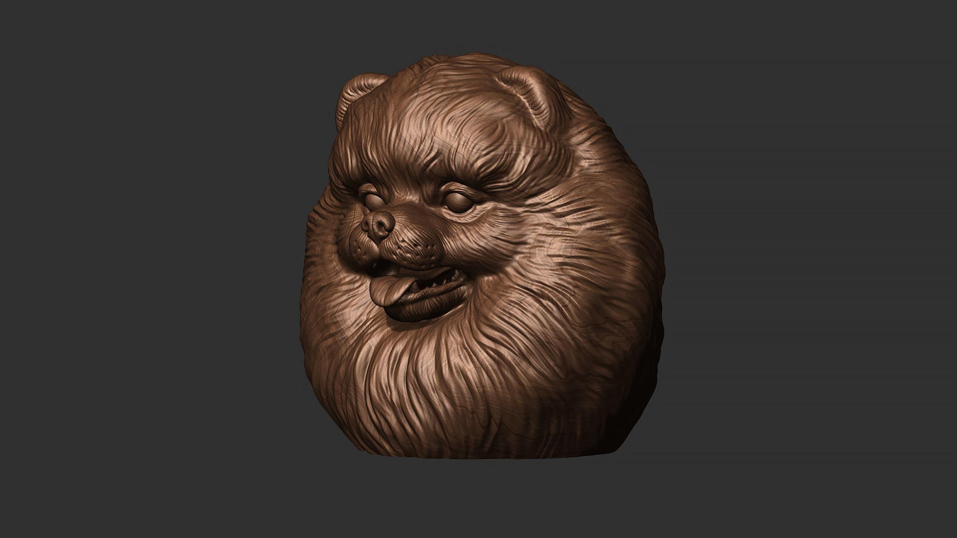 Pomeranian bust 3D print model_19