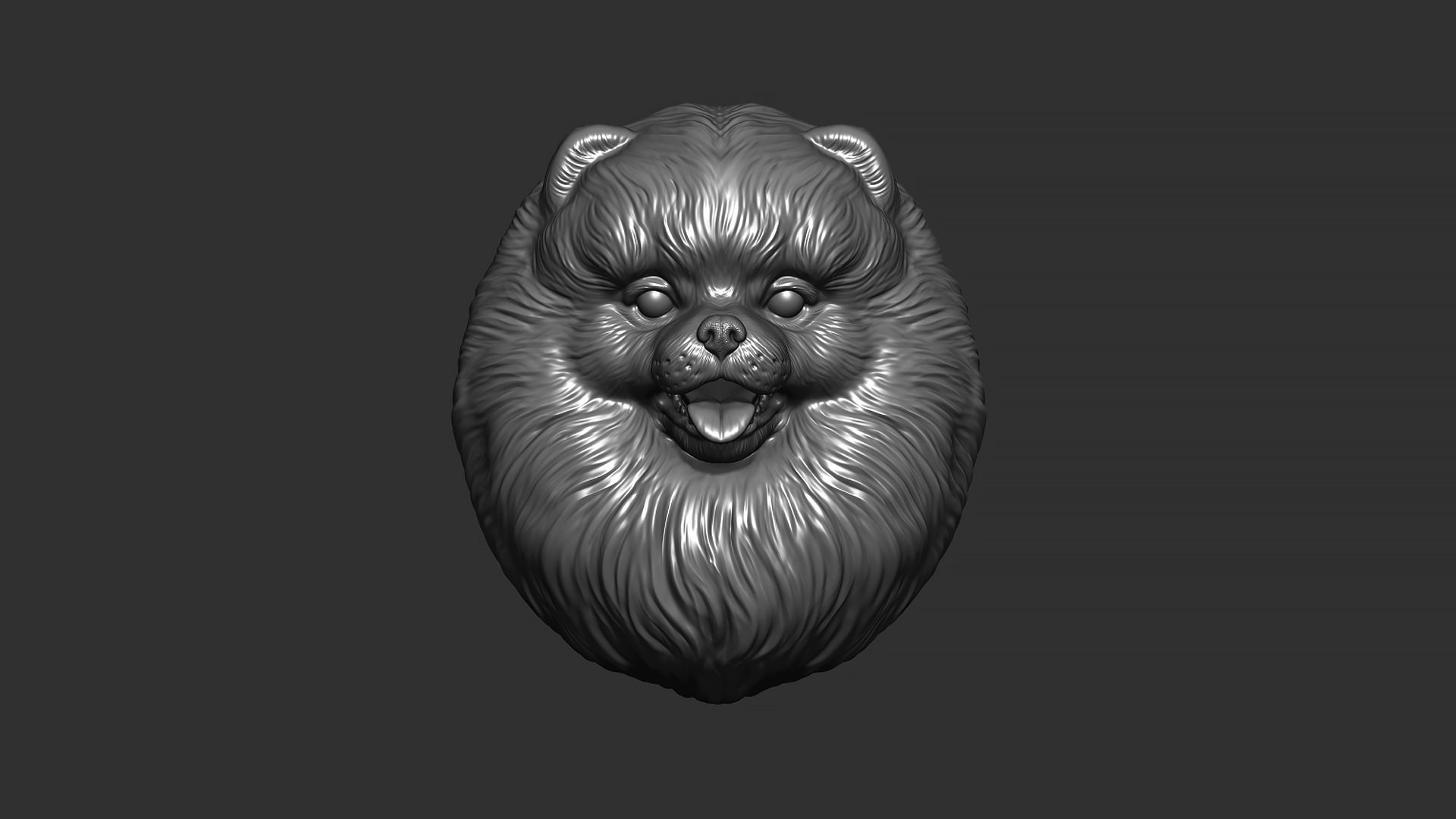 Pomeranian bust 3D print model_7
