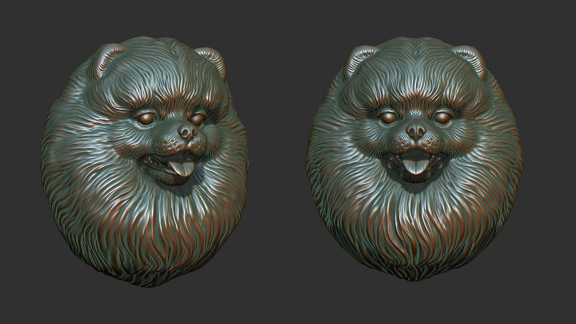 Pomeranian bust 3D print model_1