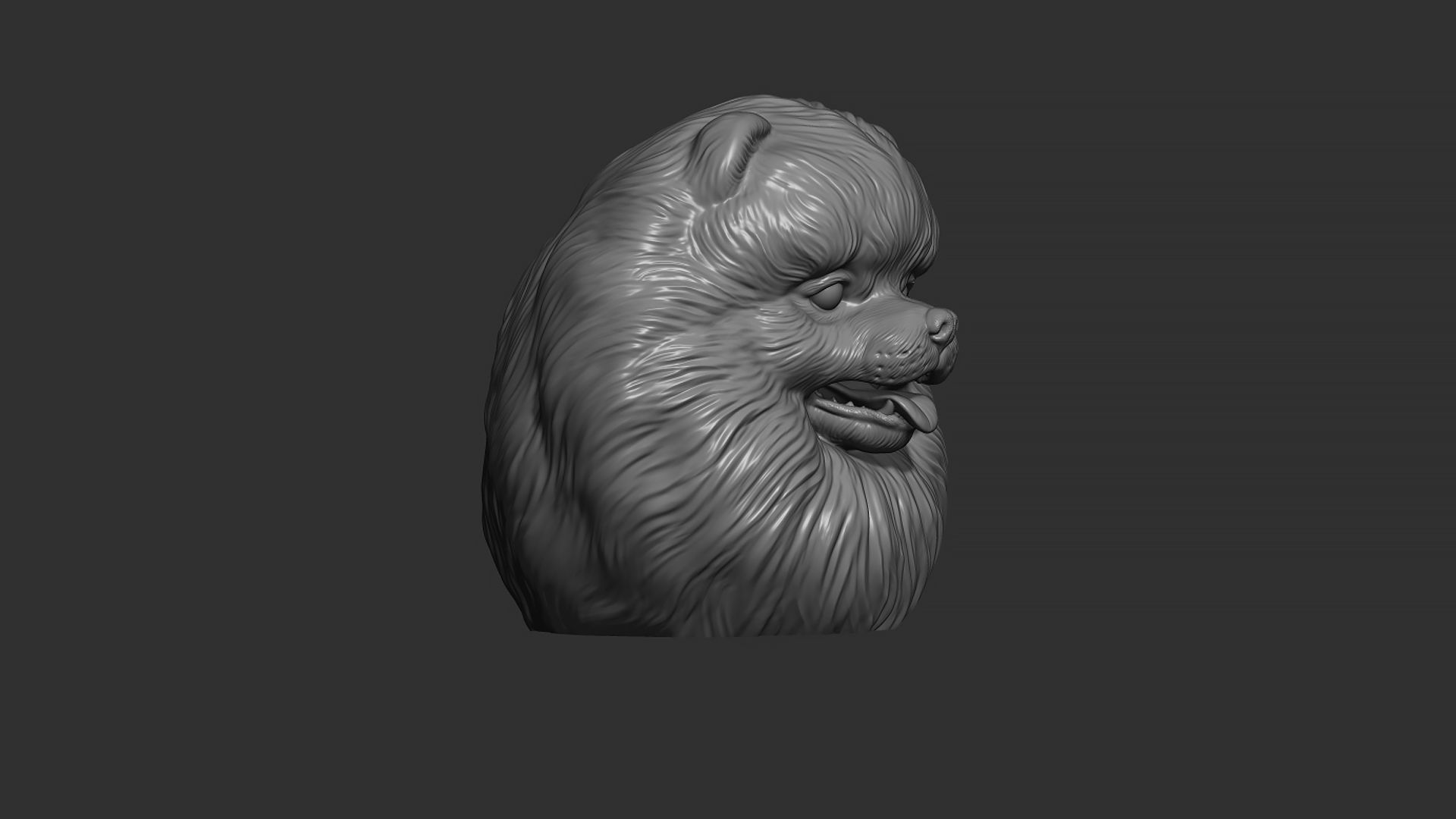Pomeranian bust 3D print model_16