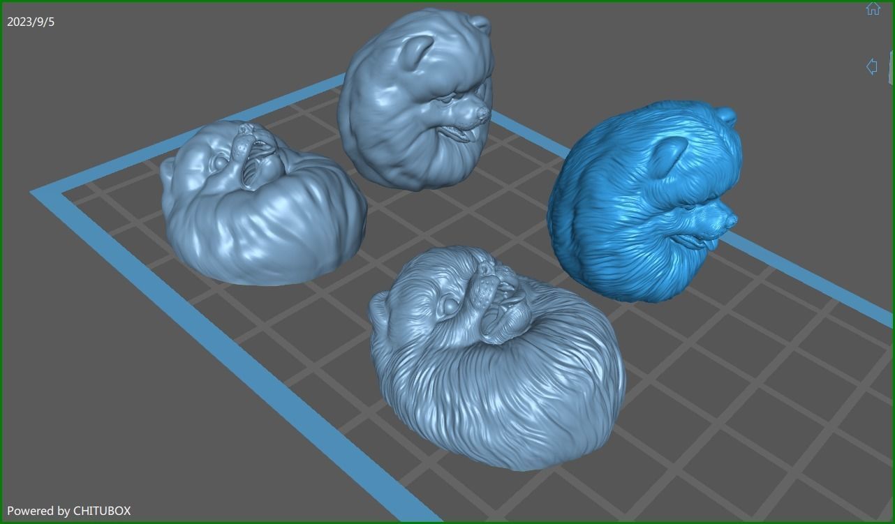 Pomeranian bust 3D print model_35