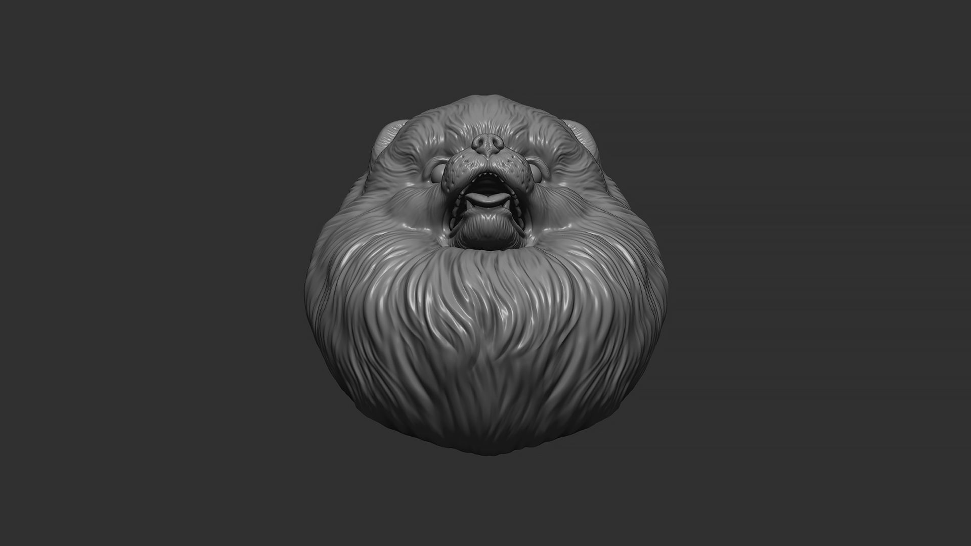 Pomeranian bust 3D print model_13