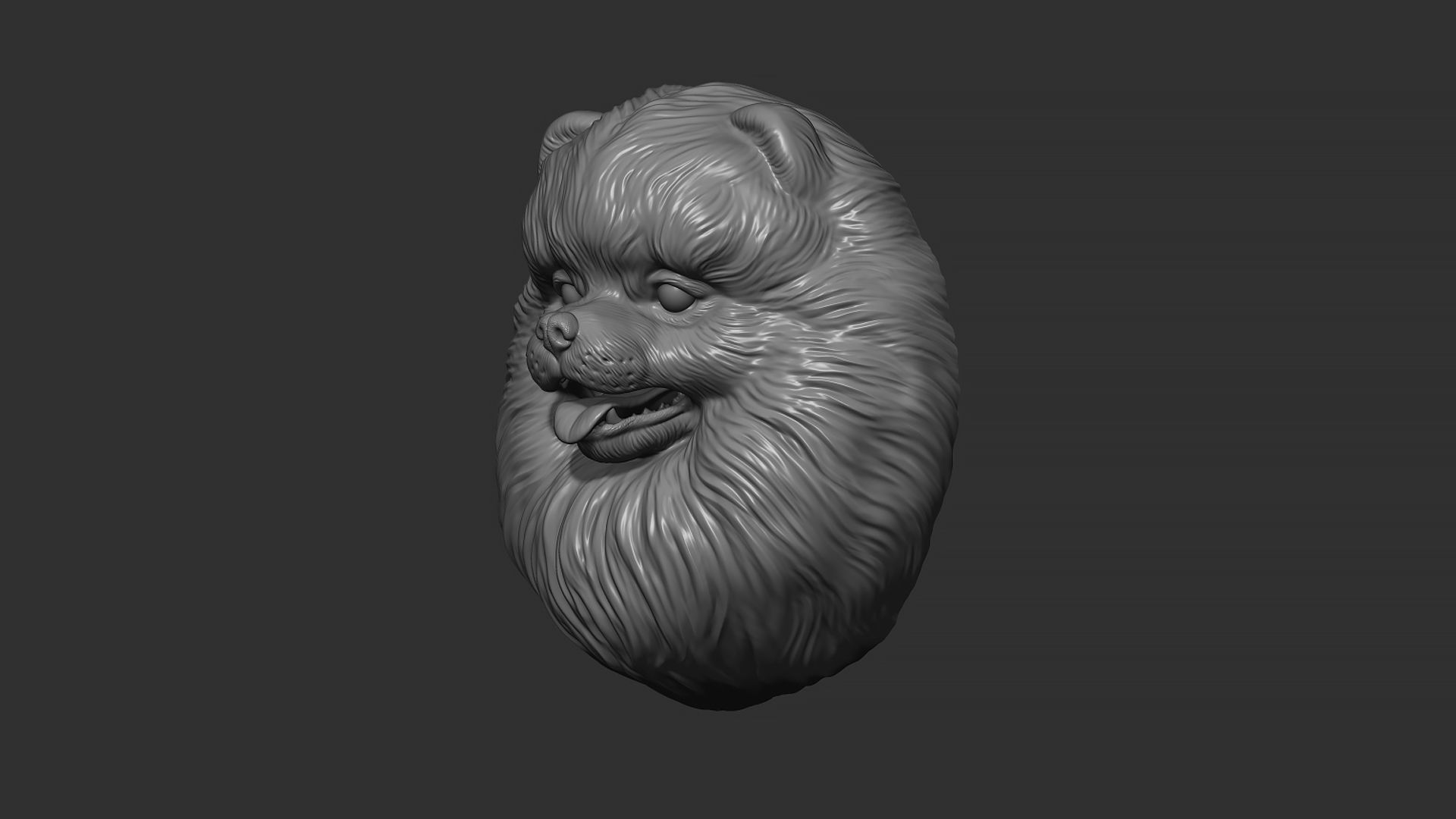 Pomeranian bust 3D print model_21