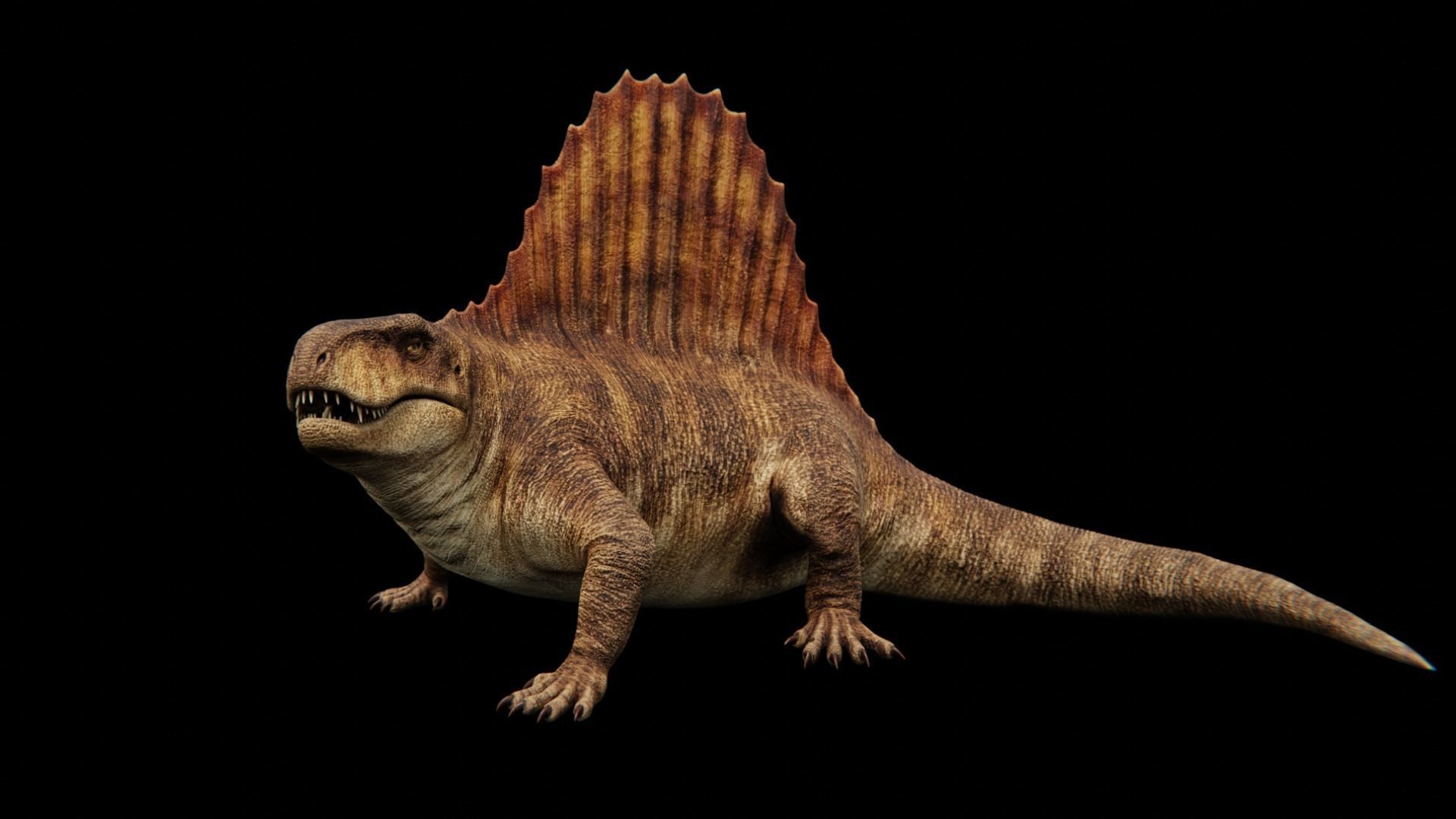 Dimetrodon - Prehistoric Synapsid Low-poly 3D model_14