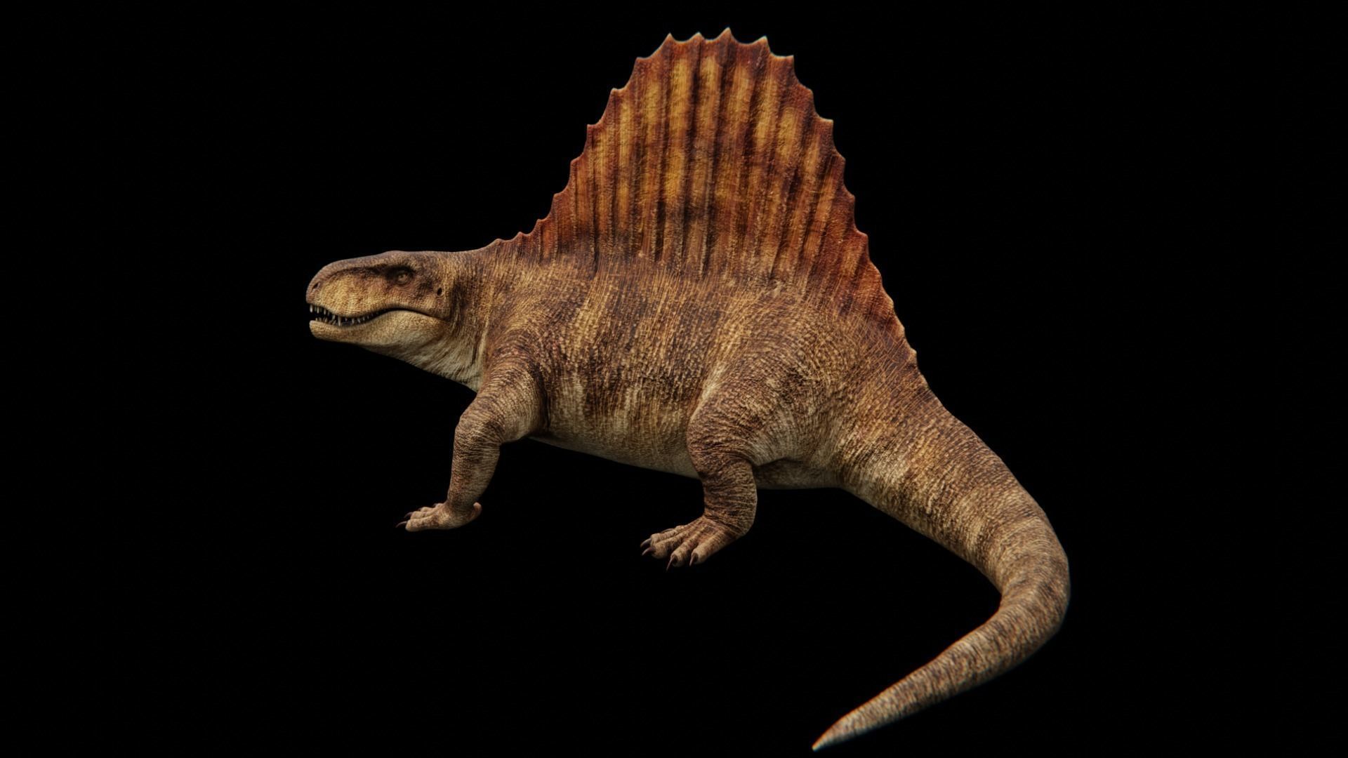 Dimetrodon - Prehistoric Synapsid Low-poly 3D model_18