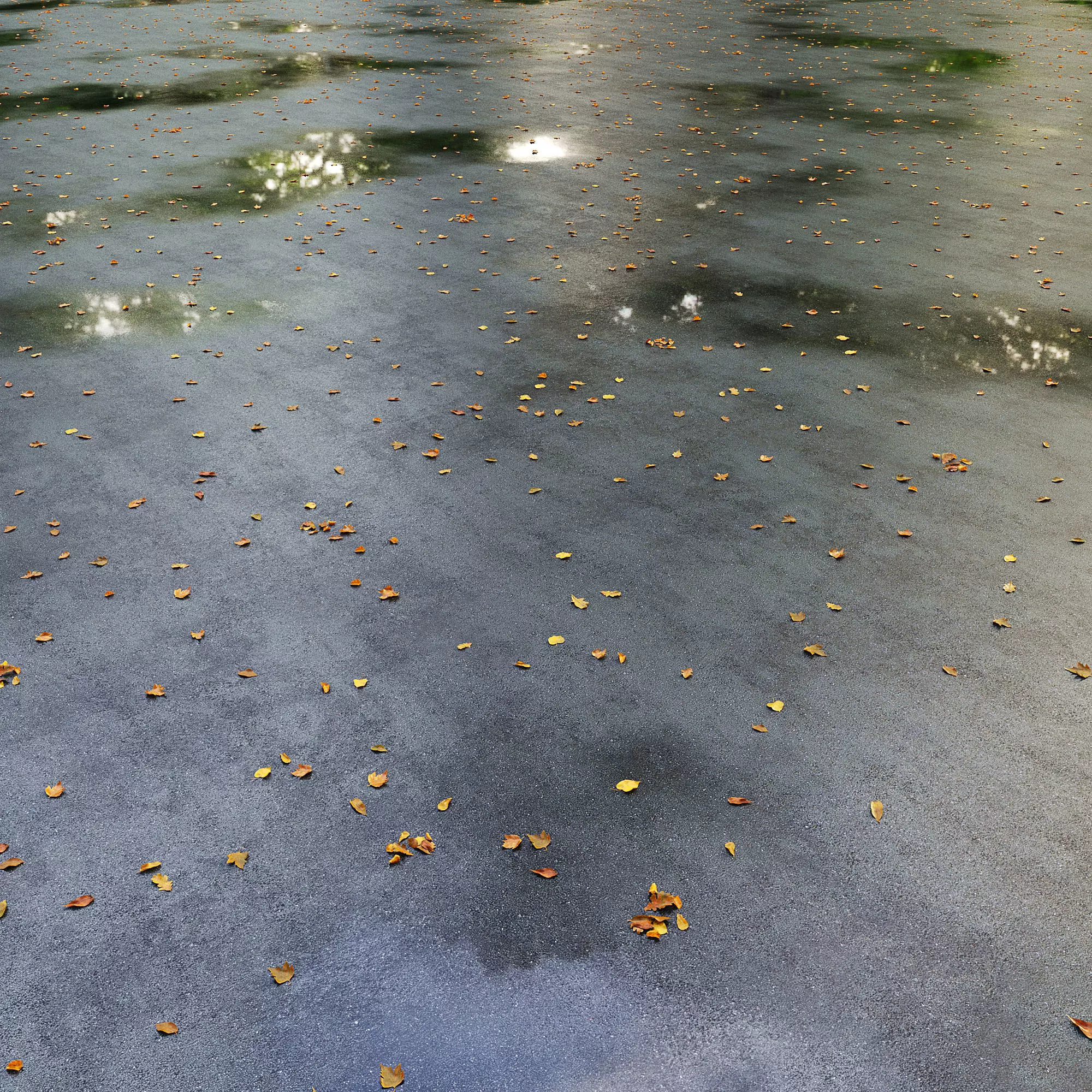 Wet asphalt with leaves 3D model_0